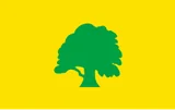 Flag of Antsla Rural Municipality Flag of Antsla Rural Municipality