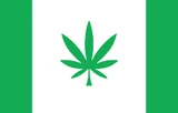 Flag of Kanepi Rural Municipality