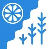 Flag of Kose Rural Municipality