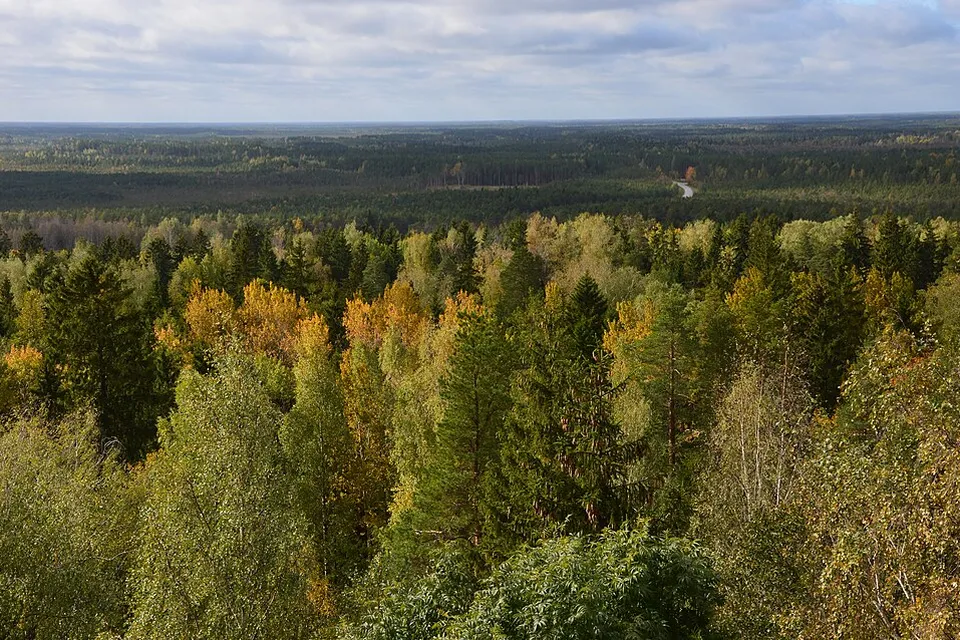 Vaade: Alutaguse vald