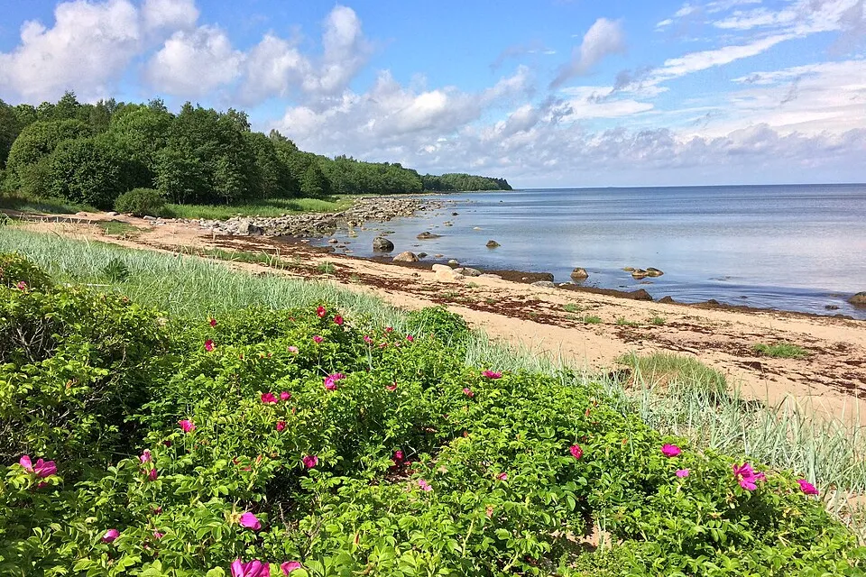 Vaade: Kuusalu vald
