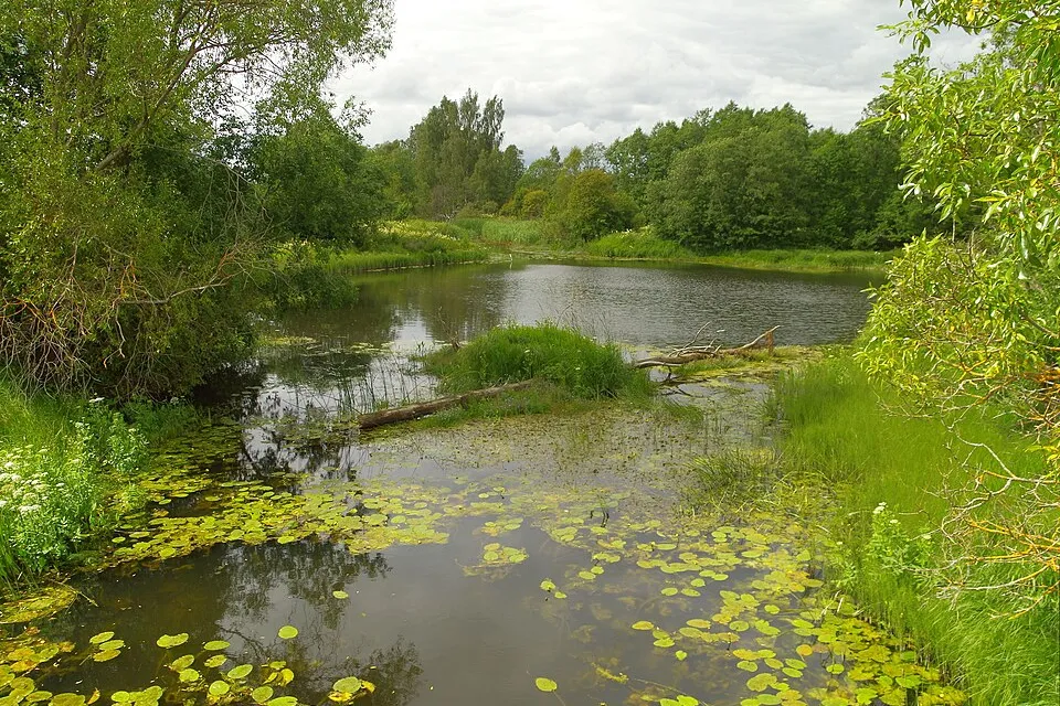 Vaade: Raasiku vald